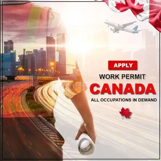 Work in Canada: Your Guide to Employment Opportunities